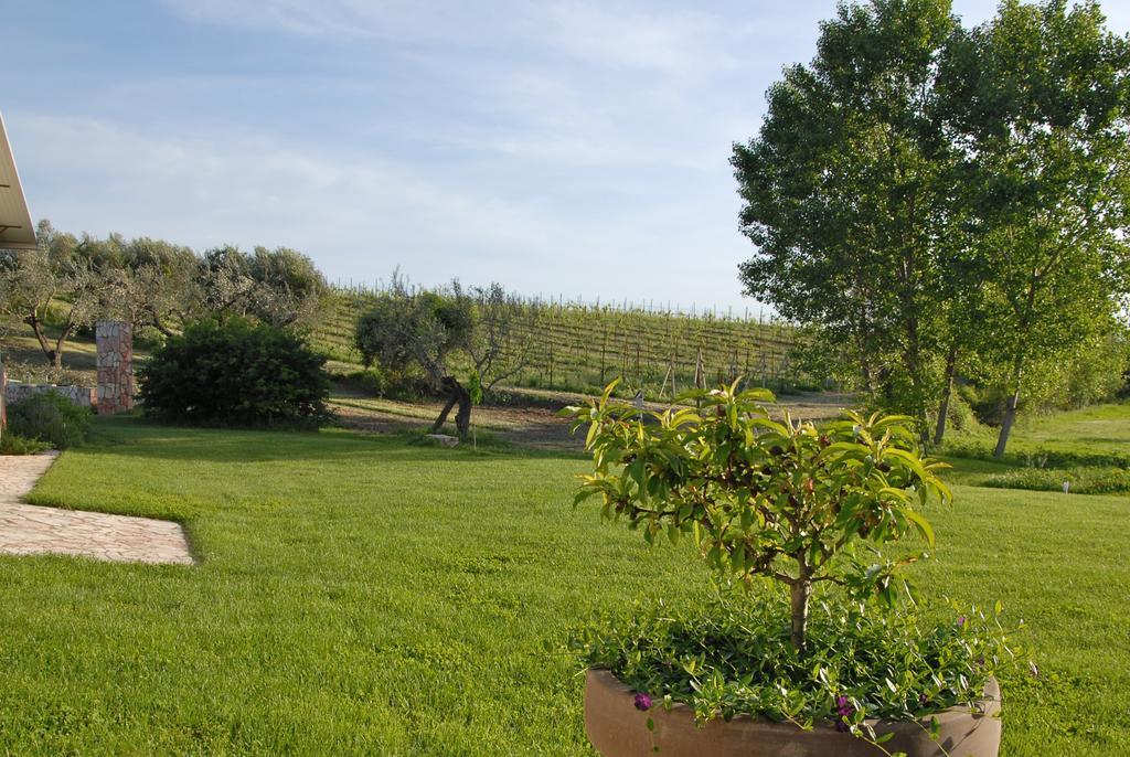 Agriturismo Arte Et Agricoltura Тоскана Екстериор снимка