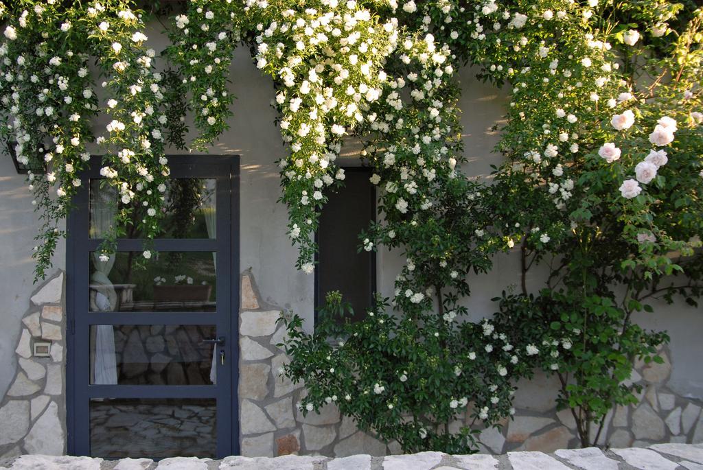 Agriturismo Arte Et Agricoltura Тоскана Екстериор снимка