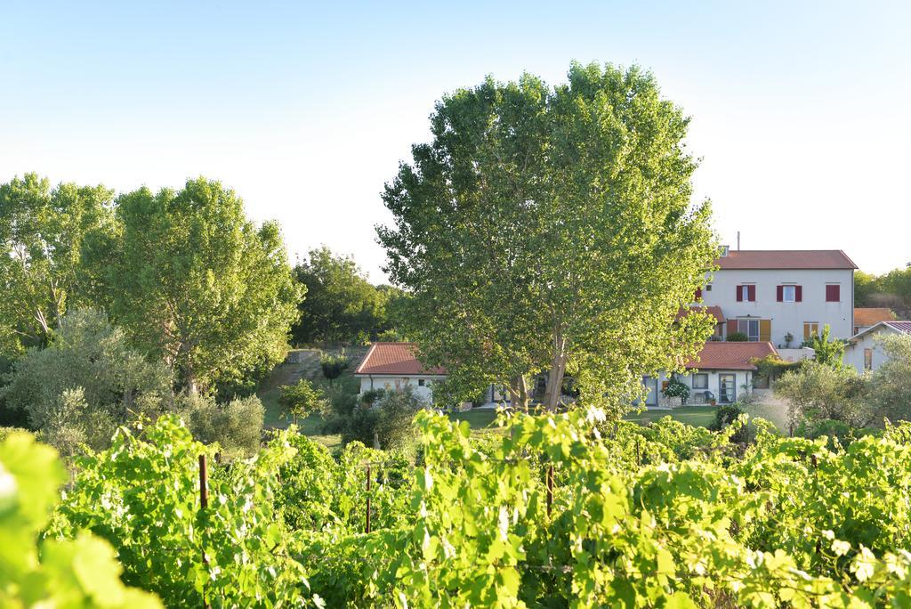 Agriturismo Arte Et Agricoltura Тоскана Екстериор снимка